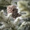 16.5"H Sullivans Artificial Frosted Pine Pinecone Christmas Accent Ring, Green-White, Indoor Christmas Decor - 2 of 3