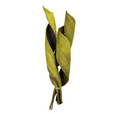 Vickerman Coco Paddle, Dried 6 Pack
