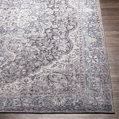 Colin Light Blue Chenille 6'7"x9' Easy-Care Rectangular Rug