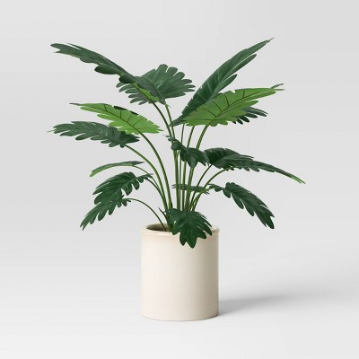 Large Philodendron Potted Plant - Threshold™