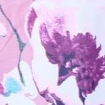 mauve garden border
