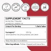 SuperSmart Pycnogenol 200mg per Day (Patented) - French Maritime Pine Bark Extract | Non-GMO & Gluten Free - 60 Vegetarian Capsules - 3 of 4