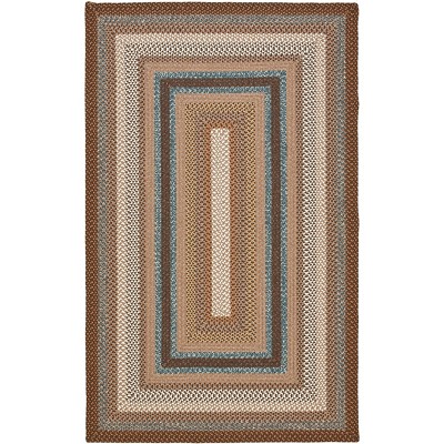 Braided BRD313 Hand Woven Area Rug - Safavieh