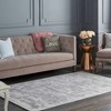 Hauteloom Alcester Gray Premium Sheen Carpet - 3 of 4
