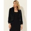 INSPIRE CHIC Women's Cropped Lapel Long Sleeve Fluffy Faux Fur Jackets - 2 of 4