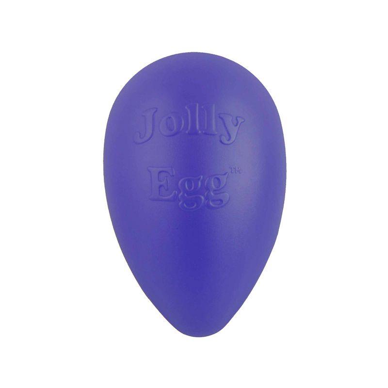 Jolly Pets Egg Dog Toy, 1 of 6