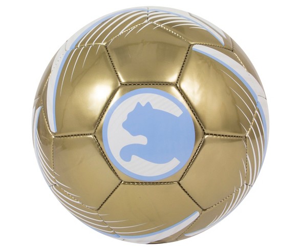 Puma ProCat Size 5 Soccer Ball - Gold/Blue