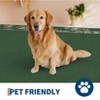 Soft Non-Slip Area Rug: Machine Washable, Low Pile Non Shedding, Solid Border & Floral Farmhouse Design for Home Spaces - 3 of 4