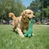 Alilang Durable Dog Rope Chew Toy for Interactive Play, Fun for Small to Medium Dogs - 3 of 4