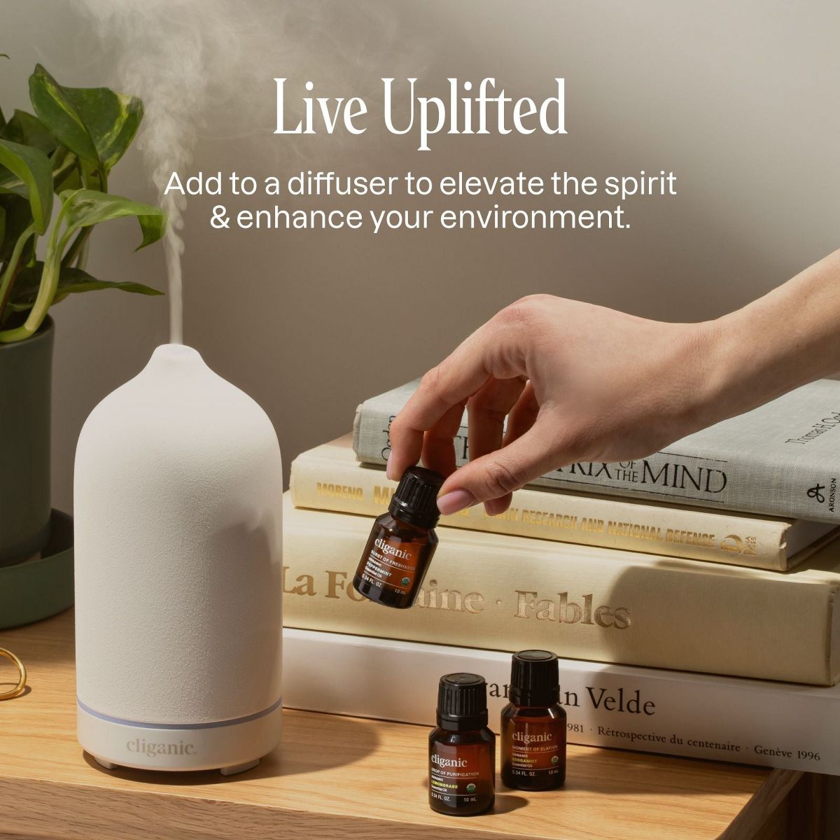 12-Piece Essential Oil Aromatherapy Set - thumbnail 9