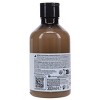 L'Oreal Professionnel Absolut Repair Molecular Shampoo 10.14 oz - 4 of 4