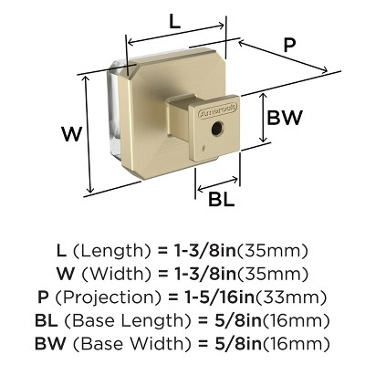 Glacio Clear and Golden Champagne Square Cabinet Knob with Mounting Hardware