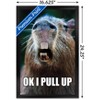 Trends International Capybara - Pull Up Framed Wall Poster Prints - 3 of 4
