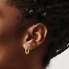Black Bow Jewelry 2mm x 12mm 14k Yellow Gold Classic Round Hoop Earrings - 3 of 4