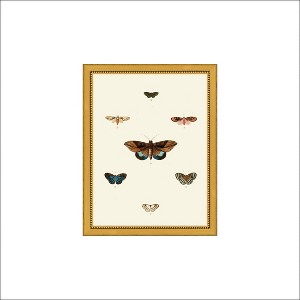 Petal Lane 7"x9" Vintage Moth Beaded Brass Frame - 1 of 3