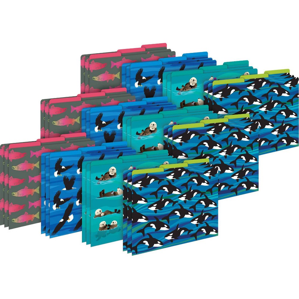 Barker Creek Sea and Sky 14pt Letter-Size File Folders Multi-Design Set 36 per Set: Top Tab, Non-Pronged, 50 Sheet Capacity