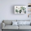 Trademark Fine Art 12" x 19" Melissa Wang 'Family Portrait III' Unframed Wall Canvas: Modern Botanical Artwork, Horizontal Layout - 3 of 4
