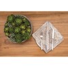 C&F Home Elaina Napkin Set of 6 - 3 of 4