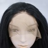 Unique Bargains Women's Heat Resistant Medium Long Natural Curly Synthetic Fibre Lace Front Wigs Black 14" - 4 of 4