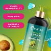 Mielle Organics Avocado & Tamanu Anti-Frizz Conditioner - 12 fl oz - 3 of 4