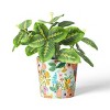 Rifle Paper Co. x Target Indoor Planter - image 2 of 4