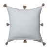 18.5"x18.5" Aravali Throw Pillow - Pillow Perfect - 2 of 4