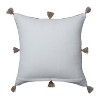 18.5"x18.5" Aravali Throw Pillow - Pillow Perfect - image 2 of 4