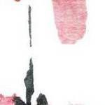 clear push pins bundle