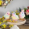 Northlight Plush Tie Dye Easter Chick Figurines - 4.25" - Set of 3 - 2 of 4