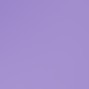 wisteria purple