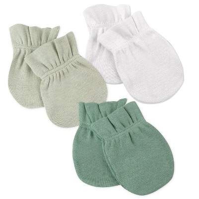 sage ombre
