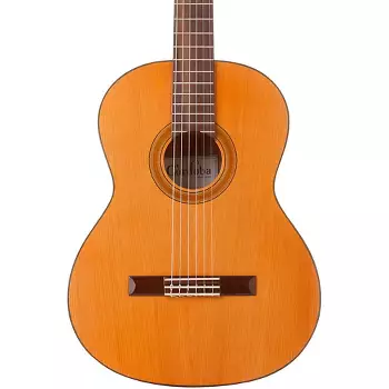 Absorberen lanthaan stuiten op Washburn Classical Acoustic Guitar : Target