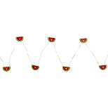 Northlight 10-Count LED Watermelon Fairy Lights - Warm White