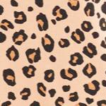 classic leopard