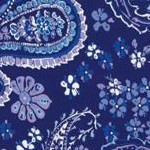 evening blue paisley