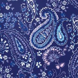 evening blue paisley