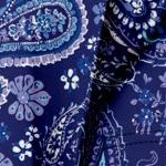 evening blue paisley
