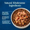 Blue Buffalo Fresh Chub Beef Flavor Wet Dog Food - 5lbs - 4 of 4