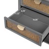 GDFStudio Theron Farmhouse 2-Drawer Cabinet with Rattan Drawers - 4 of 4