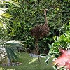 45" x 22" Outdoor Metal Peaking Standing Ostrich Statue Brown - Alpine Corporation: Weather-Resistant Iron Decor - 2 of 4