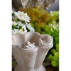 Okak Sand and Cement Conch Shell Planter with Textured, Flower Pots for Indoor Outdoor Decorative Plants - 2 of 4