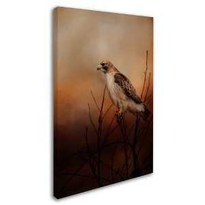 Trademark Fine Art -Jai Johnson 'Red Tail In Wait' Canvas Art - 1 of 3