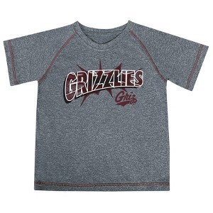 NCAA Montana Grizzlies Toddler Boys' Poly T-Shirt - 1 of 3
