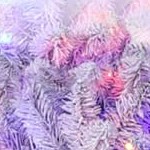 white-purple