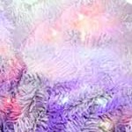 white-purple