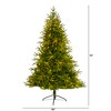 Nearly Natural 6-ft Colorado Mountain Fir Natural Look Artificial Christmas Tree with 350 Clear LED Lights and 1704 Bendable Branches - 2 of 4