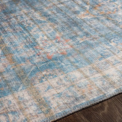 Markleville Pale Blue Washable Traditional Area Rug