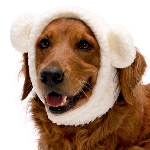 Dog sales bear hat