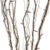 Northlight 39" LED Lighted Natural Branch Bundle Christmas Decoration - Warm White Lights - 4 of 4