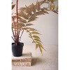 Artificial Yellow Fern in Black Pot – 26" Tall Faux Plant by Kalalou - 4 of 4